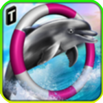 海豚比赛3D